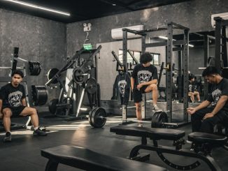 exercices de musculation