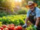 Comment faire un potager de légumes : tout ce qu'il faut savoir pour débuter