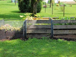 Compost qui sent mauvais : le manque d'air est presque toujours en cause