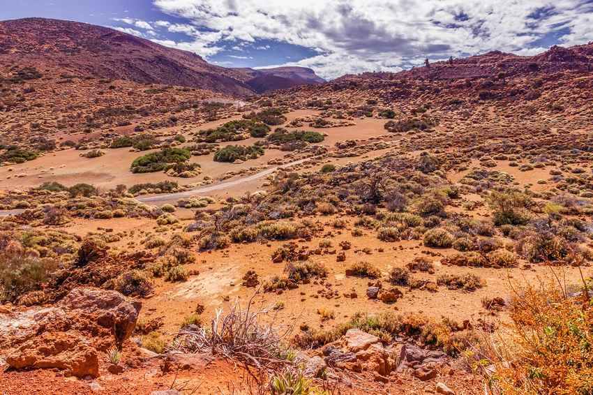 Vue panoramique d'un terrain aride avec végétation éparse et formations rocheuses