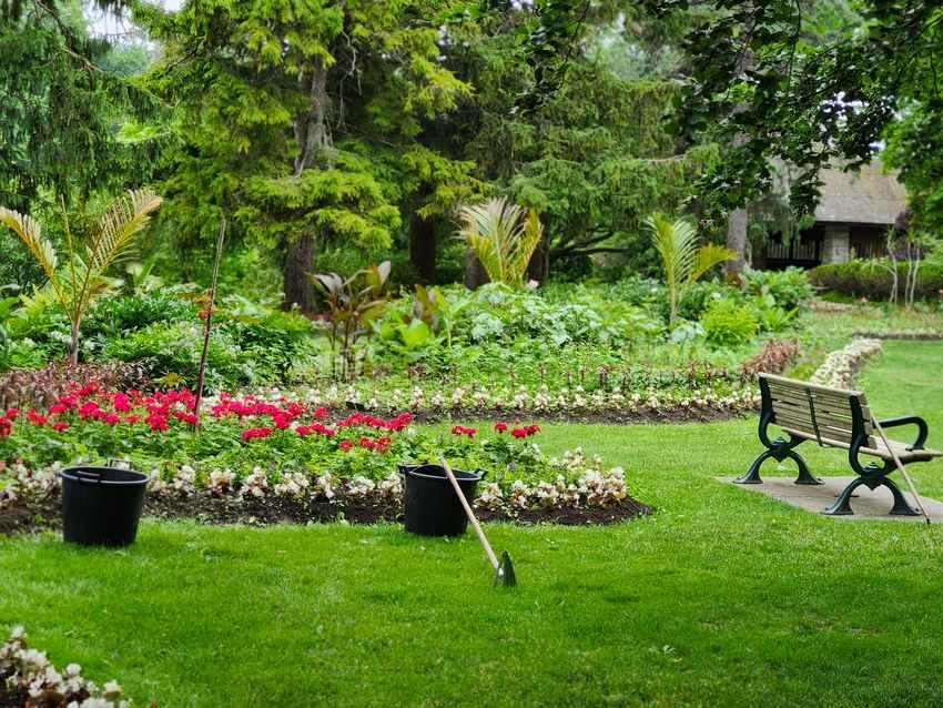 Jardin verdoyant avec fleurs rouges, pelouse, banc et outils de jardinage Jardin verdoyant avec fleurs rouges, pelouse, banc et outils de jardinage